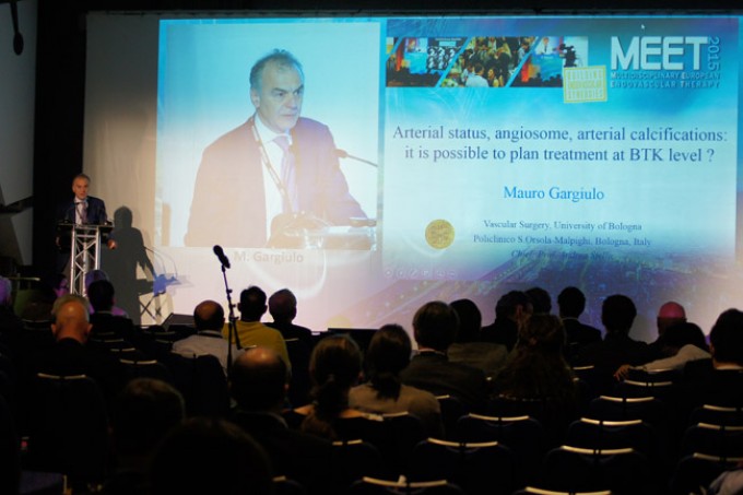 02_MEET-2015-conference_05