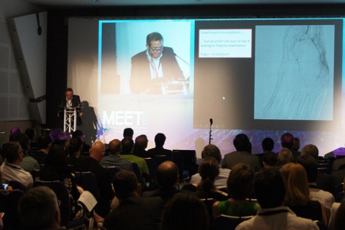 02_MEET-2015-conference_21