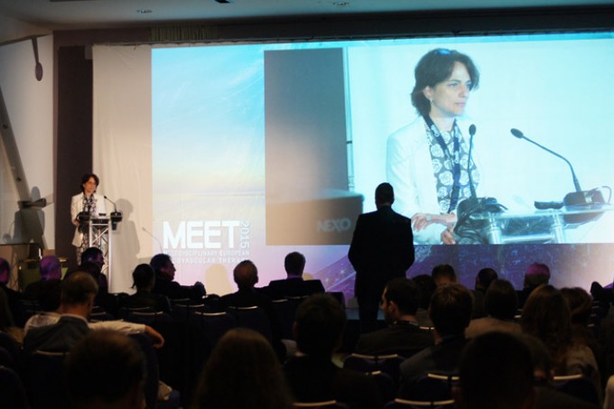 02_MEET-2015-conference_37