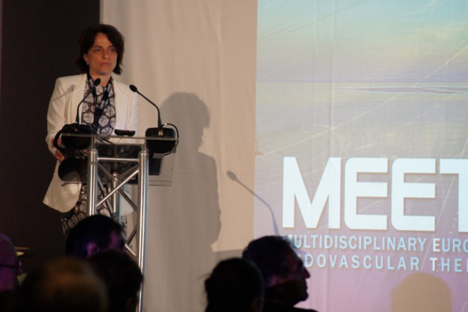 02_MEET-2015-conference_38