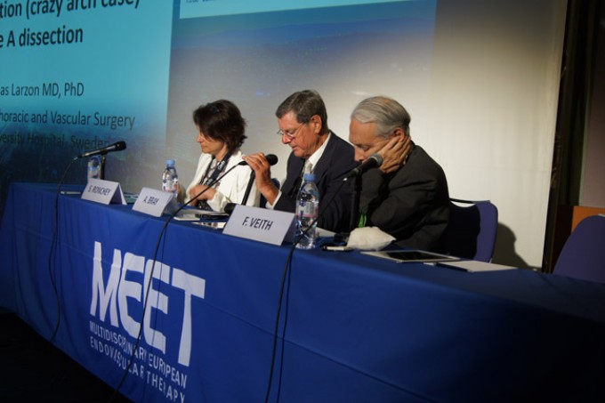 02_MEET-2015-conference_40