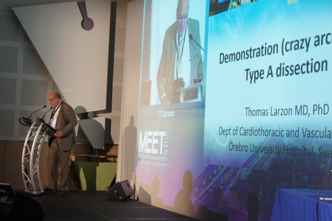 02_MEET-2015-conference_41