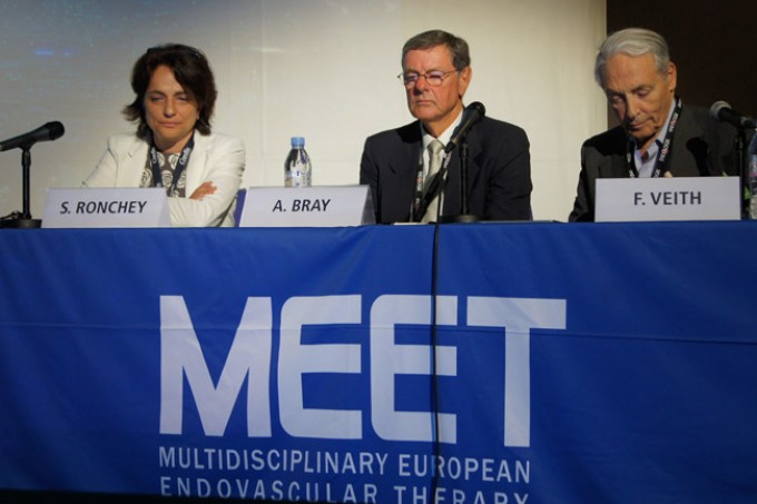 02_MEET-2015-conference_42