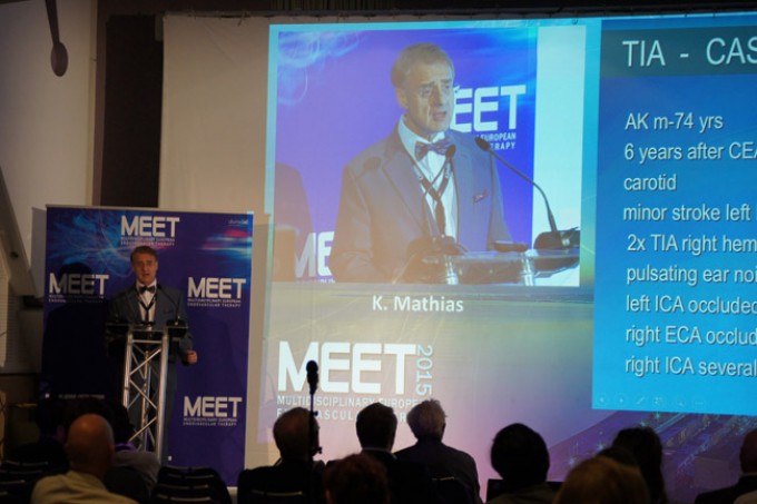 05_MEET-2015-conference_01
