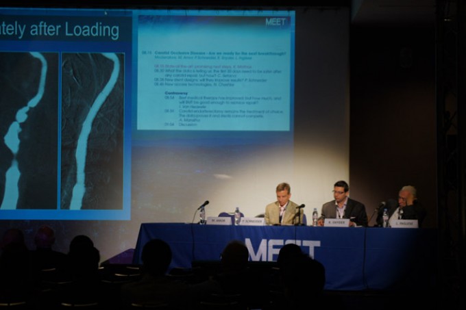 05_MEET-2015-conference_03