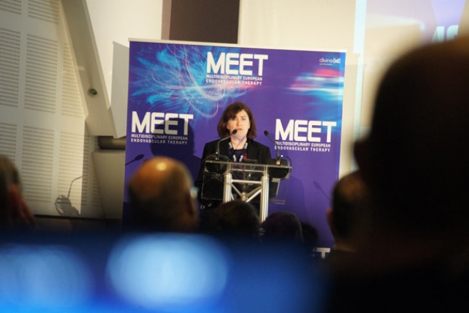 05_MEET-2015-conference_09