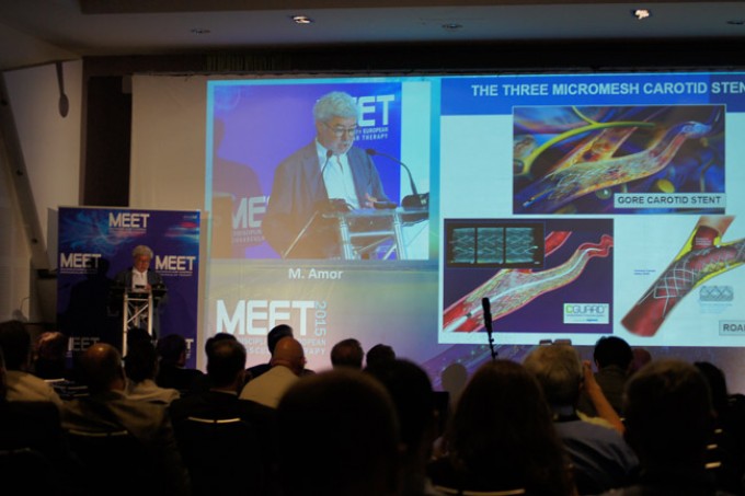 05_MEET-2015-conference_12