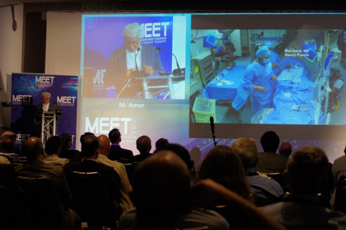 05_MEET-2015-conference_13