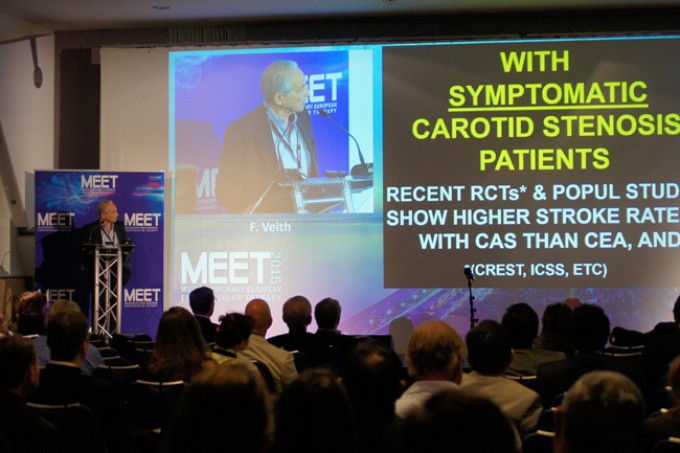 05_MEET-2015-conference_16