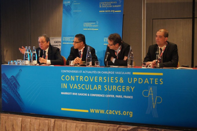 10_pleniere-cacvs2016_26