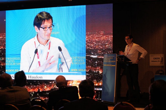 17_pleniere-cacvs2016_05