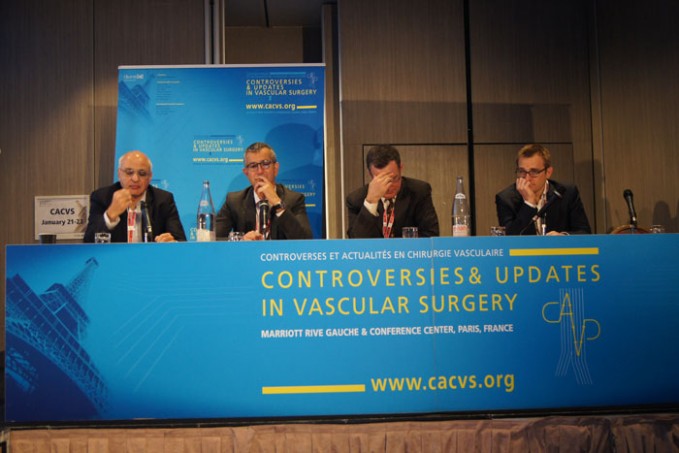 17_pleniere-cacvs2016_06