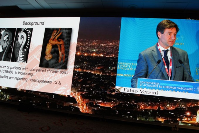 17_pleniere-cacvs2016_26