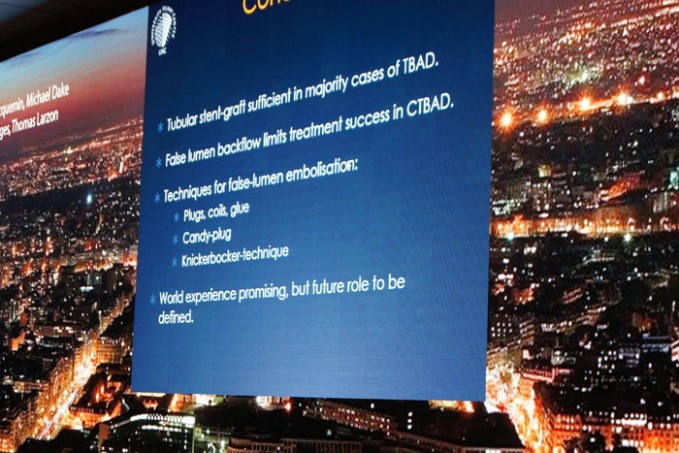 17_pleniere-cacvs2016_37